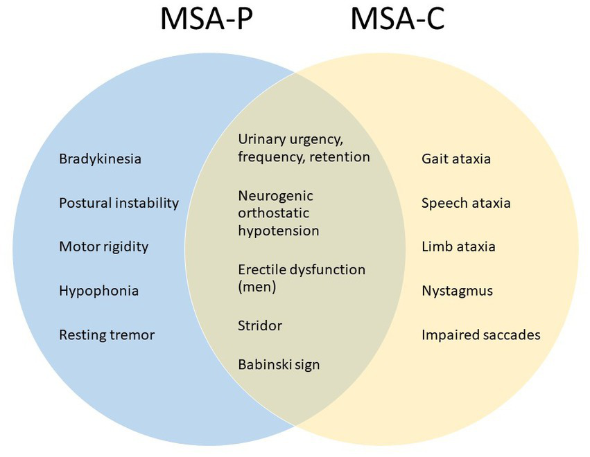 MSA