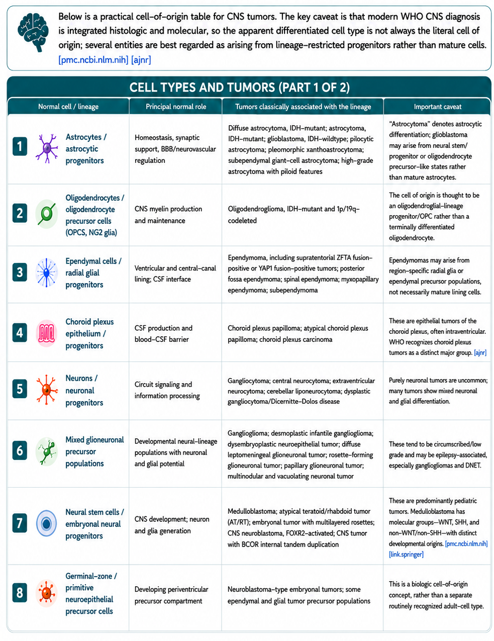 CNS cell types and tumors, part 1