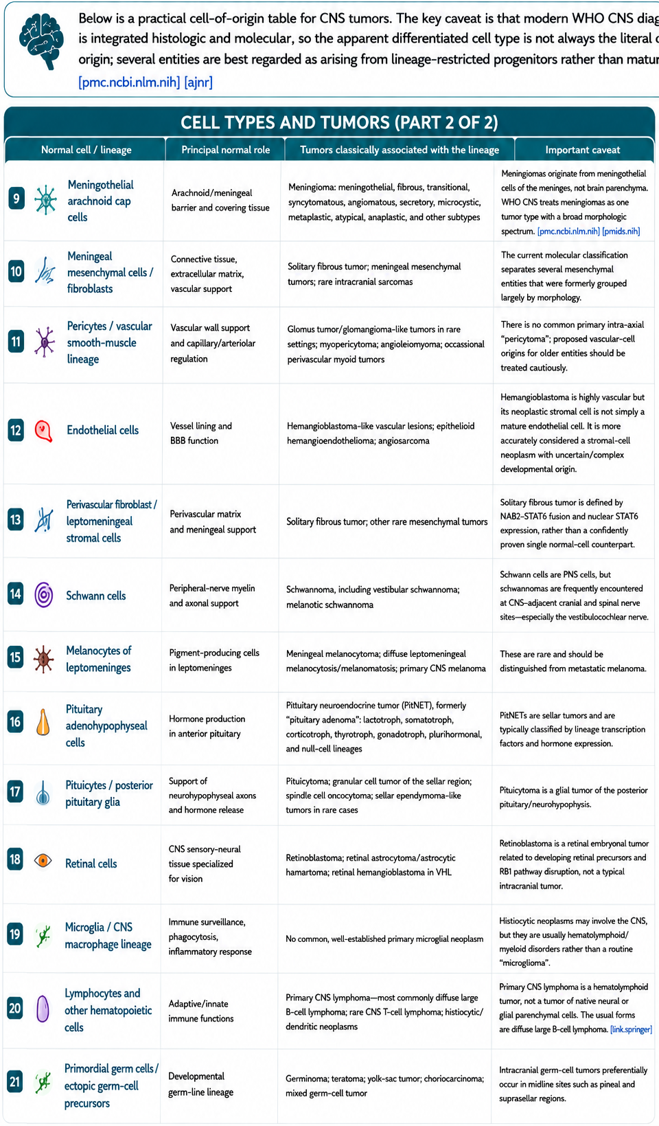 CNS cell types and tumors, part 2