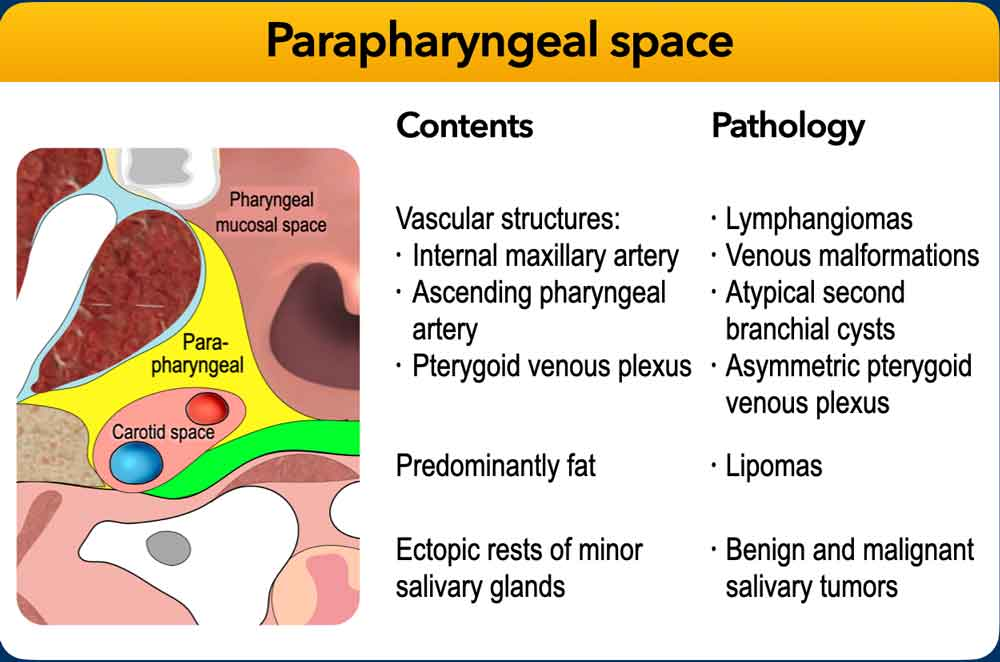 Axial PPS diagram beside supplied contents and pathology lists.