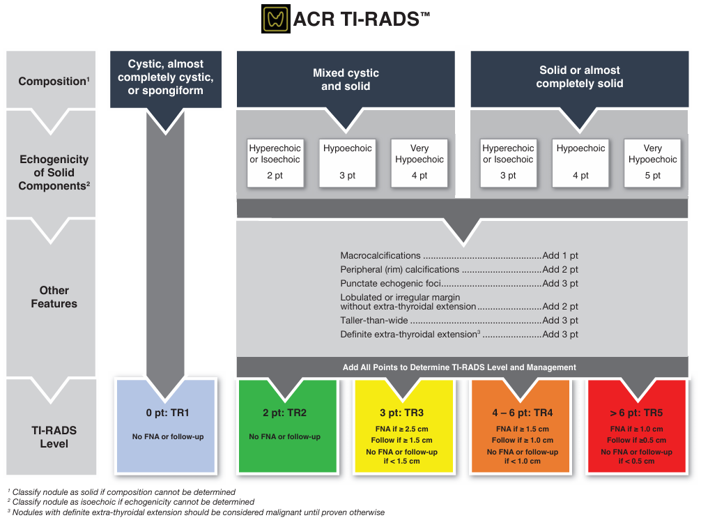 ACR TI-RADS: scoring and management flowchart teaching graphic