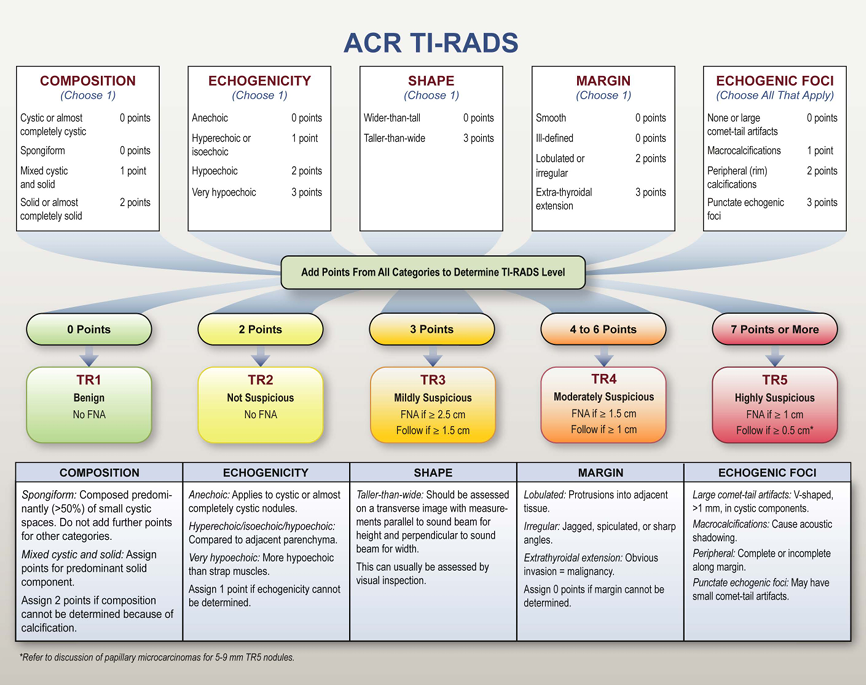 ACR TI-RADS: category criteria and management reference teaching graphic