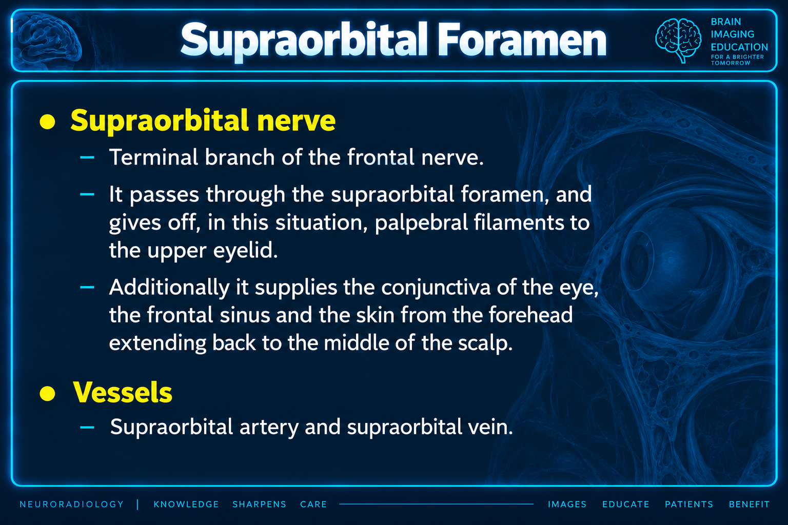 Supraorbital foramen and nerve