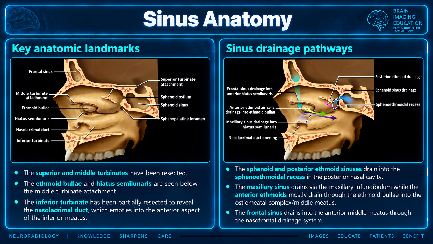 Anatomic landmarks and drainage diagrams