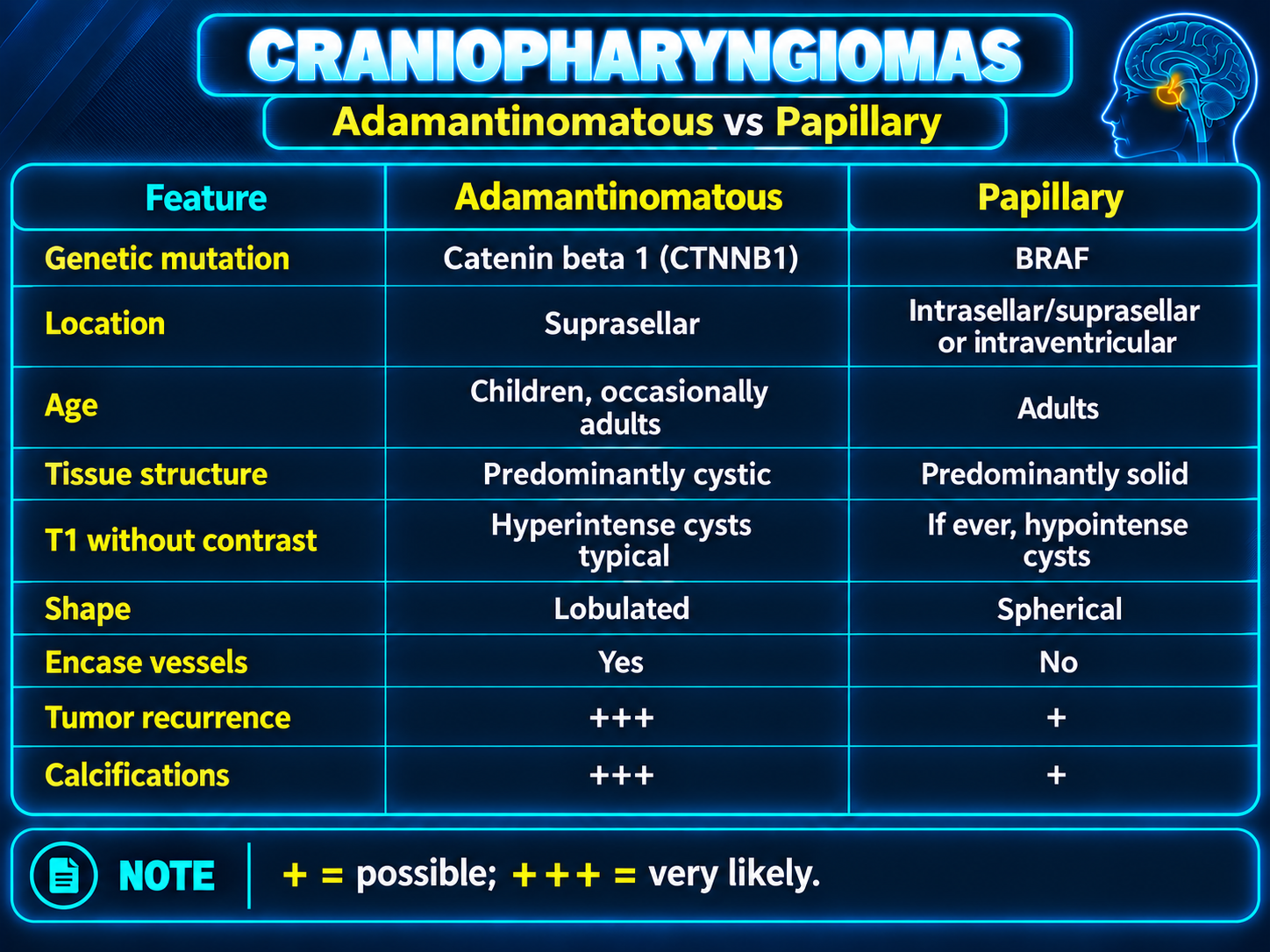 Comparison of adamantinomatous and papillary craniopharyngioma features